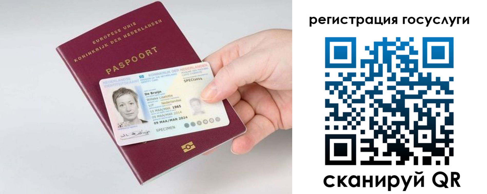 регистрация для дет. сада в Цимлянске
